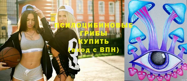 герыч Пестово